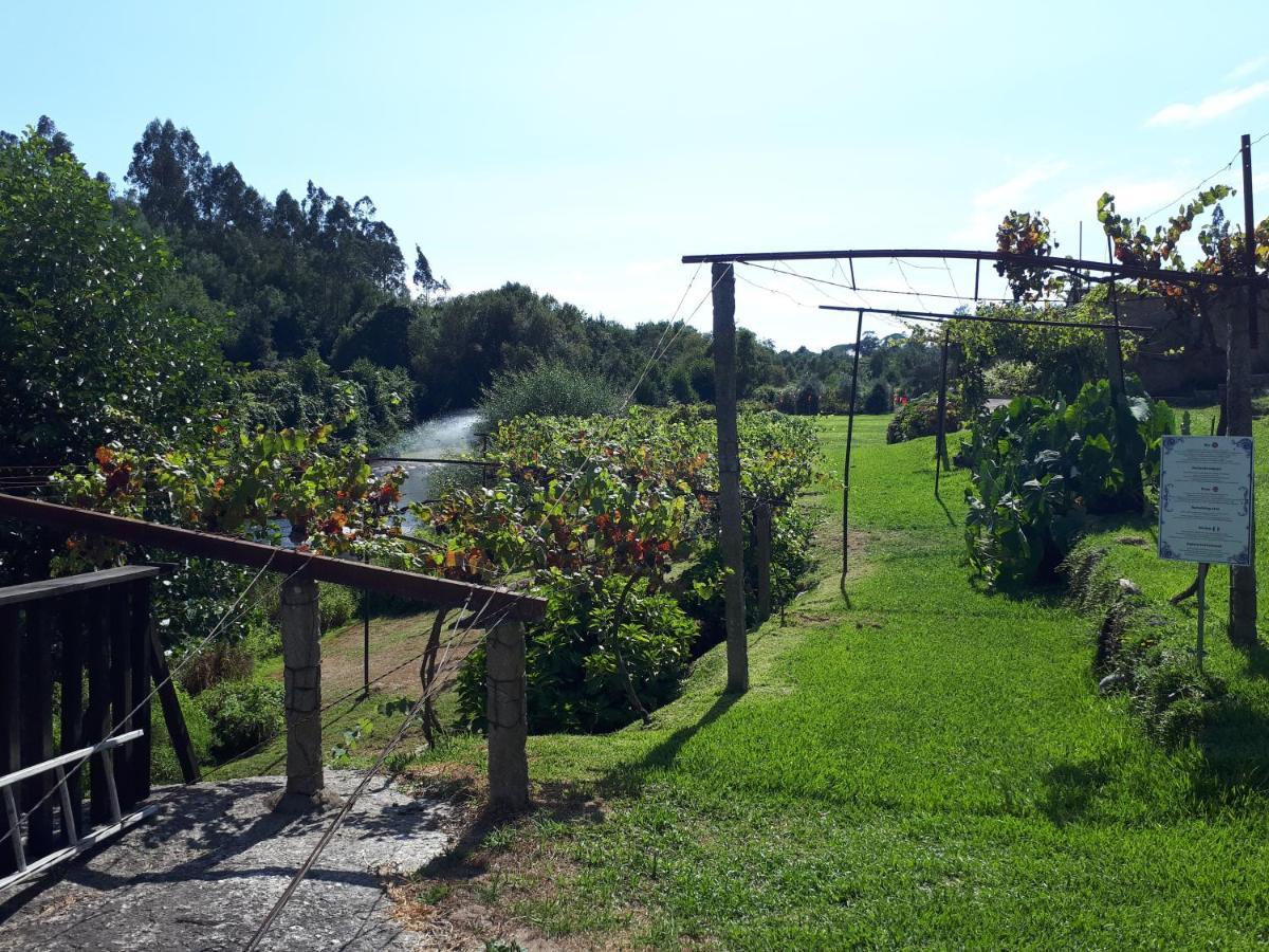 Dream Corner By Waterfalls, 20 Min To Oporto, By Porto With Love Lda Parada  Dış mekan fotoğraf